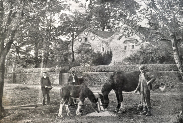 Yew Tree farmhouse